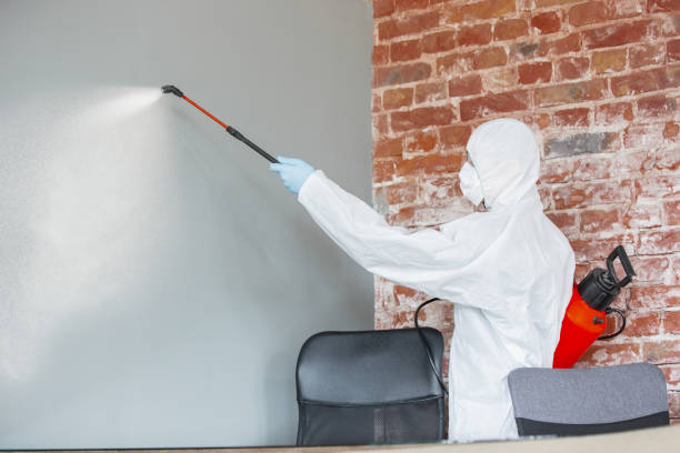 Best Asbestos and Lead Testing During Mold Inspection  in Enetai, WA