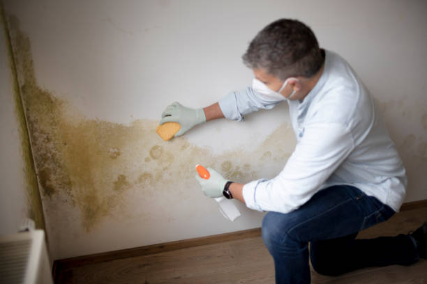 Best Post-Remediation Verification Testing  in Enetai, WA